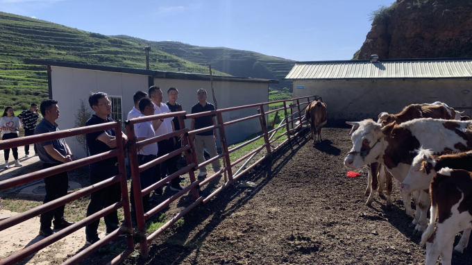 永利12311手机版党委书记、董事长宋忠庆一行赴卓尼县柳林镇帮扶村调研慰问