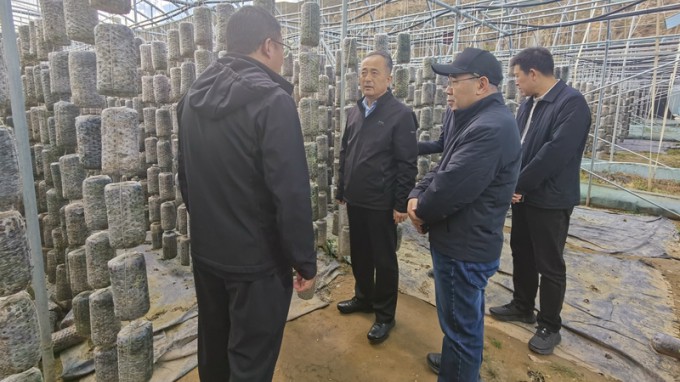 永利12311手机版赴卓尼县开展乡村振兴帮扶调研暨结对关爱工作